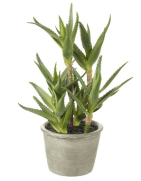 aloe faux plant