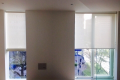 Screen fabric roller blinds